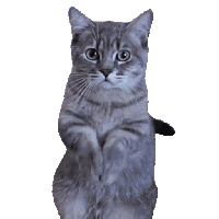 sticker image #1