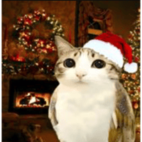 sticker image #18