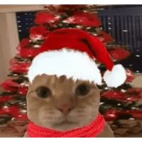 sticker image #25