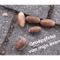 sticker image #10