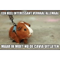 sticker image #27