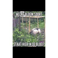 sticker image #10