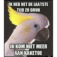 sticker image #21