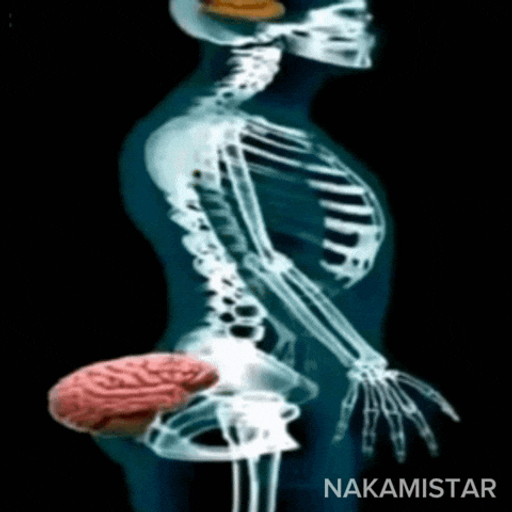 tray_icon #127264 sticker_pack