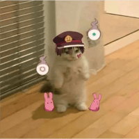 sticker image #28
