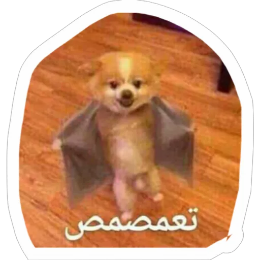 Sticker maker new 102