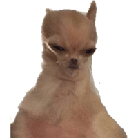 sticker image #1