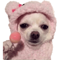 sticker image #3