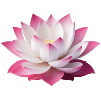 sticker image #10