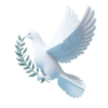 tray_icon #124445 sticker_pack