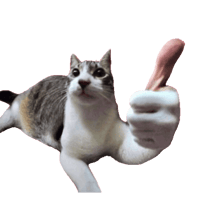 sticker image #6