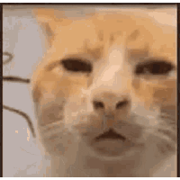 sticker image #10