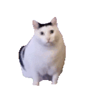 sticker image #18
