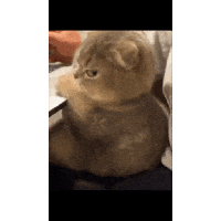 sticker image #7