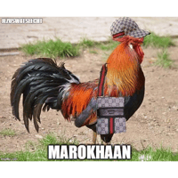 sticker image #11