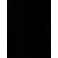 sticker image #17