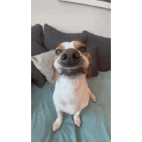 sticker image #26