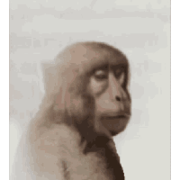 sticker image #7