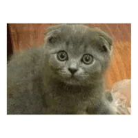 sticker image #11