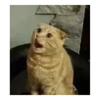 sticker image #14