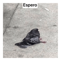sticker image #16