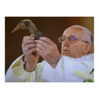 sticker image #19