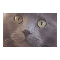 sticker image #2