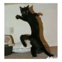 sticker image #8