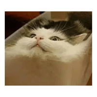 sticker image #9