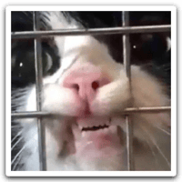 sticker image #17