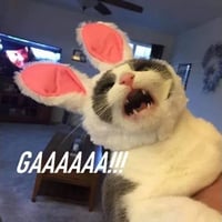 sticker image #12