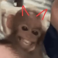 sticker image #24