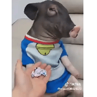 sticker image #29