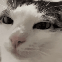 sticker image #30