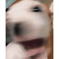 sticker image #23
