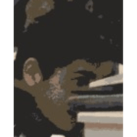 tray_icon