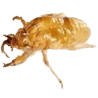 sticker image #1