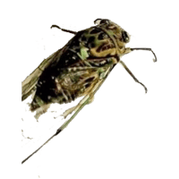 sticker image #2