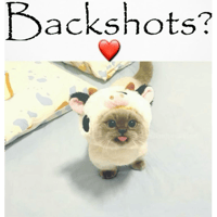 sticker image #12