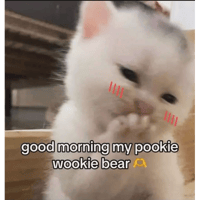 sticker image #6