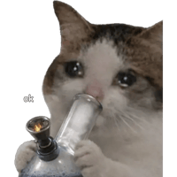 sticker image #5