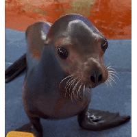 sticker image #1