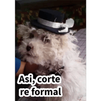 sticker image #11