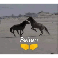 sticker image #10