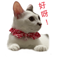 sticker image #13