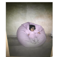 sticker image #15