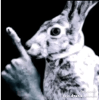 sticker image #9