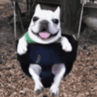 sticker image #14