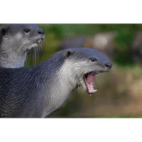 sticker image #11