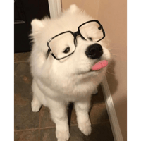 sticker image #3
